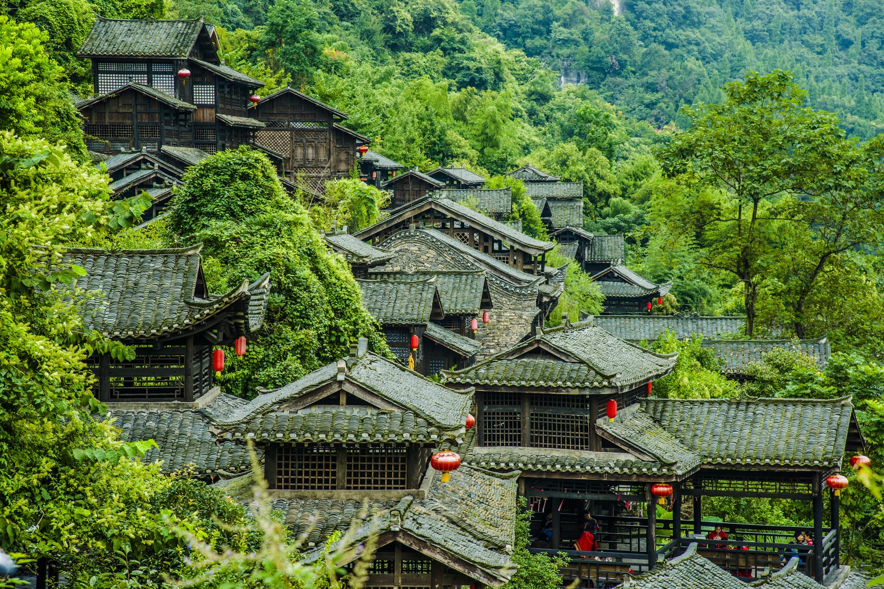 Three Gorges Family